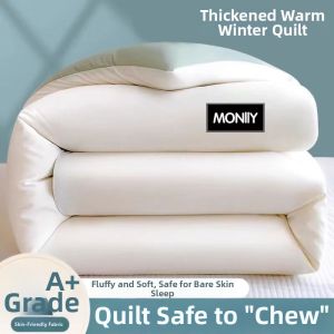 Thickened Warmth Quilt