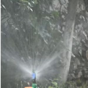 Sprinkler Pertanian Irigasi Air Taman memutar 360 Derajat Sprinkler Ruri Plus Shock Drat zeorfarm