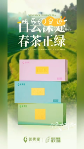 武夷星 星茗媛系列 名丛奇种 春茶小品种组合装/漫妙春香 老君眉/玉井流香/粉红梅/葳蕤 Wuyistar Xingmingyuan Series WUYI ROCK - Spring TEA