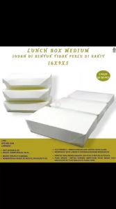 Paper Lunch Box Medium DPE 260 Gsm (ISI 25 PCS-LFW1)