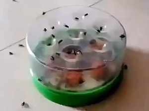 Automatic Fly Trap Mini Fly Trap Fly Bag Fly Catcher || Farm Hotel Fly Trap Magic Device