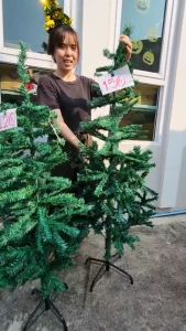 Christmas tree🎄ต้นคริสต์มาสปลอม ต้นสนปลอม ขนาด150เซนติเมตร ต้นคริสมาส ของตกแต่งคริสมาส *ต้นเขียว*พร้อมส่งจาก กทม👍