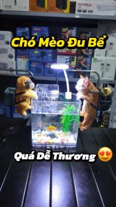 Chó Mặt Xệ Đu Thành Bể Cá (Trang Trí Bể Cá Cảnh) (Size 12cm)