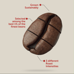 illy Whole Bean Coffee 250g - Classico (Medium Roast)