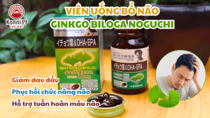 VIÊN UỐNG GINKGO BILOGA NOGUCHI NHẬT BẢN (HỘP 60 VIÊN)