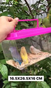 กล่องพลาสติกใสใส่สัตว์ เคลื่อนย้าย/พกพาขนาดเล็ก