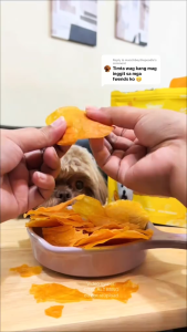 The Waggy Bites Premium Dog Chips Crunch Chips Dog Treats Organic Pure Meat Chips Dog Treats Chips