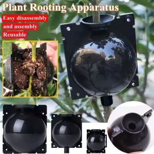 10Pcs Plant Rooting Device Reusable Plant Root Growing Box Cutting Grafting Breeding Rooting Ball Kit Garden Tool
