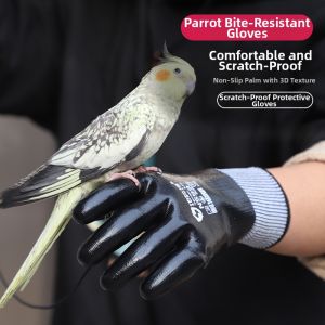 Terrain Kun | Parrot Training And Interaction Water-resistant Gloves