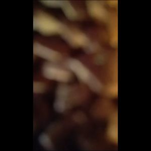 Alas gelas Rotan / Tatakan gelas Rotan / Placemat Rotan