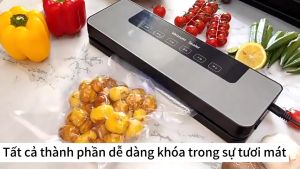 Máy đóng gói hút chân không bảo quản thực phẩm