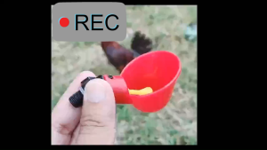 Chicken Water Cup & Poultry Drinking Cups: Easy Installation Farm Equipment for Home Chicks & Ducks