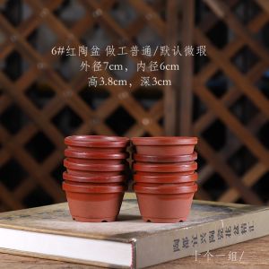 Free House Red Pottery Flower Pot Mini 6# Cultivation Pot Bonsai Green Plant Controlled Cultivation Breathable Absorbent Succulent Palm