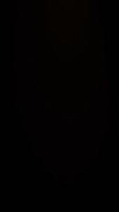 Happy Cat Makanan Kucing Dewasa Culinary Atlantic Salmon 10kg