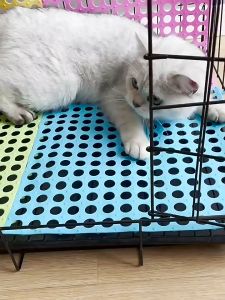Karpet Alas Kandang Kucing Anjing Anti Slip Footrest Kelinci Hamster Persediaan Hewan