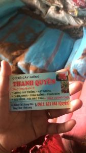 MỤN DỪA/XƠ DỪA TRỒNG HOA CÂY CẢNH BAO 6-9KG. THÍCH HỢP NHIỀU LOẠI CÂY