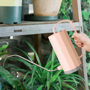 1000ml Garden Watering Can Curved Mouth Stainless Steel Removable Nozzle Flower Plant Spray Pot Multi-function Long Mouth Household Bonsai Garden Tool