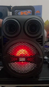 Kaya KA-70 Bluetooth Speaker with Dual 8-inch Drivers and LED Lighting
