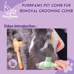 PurrPaws Cat Comb Fur Removal Grooming Comb Massage Comb Cleaning Brush Sikat Rambut Kucing