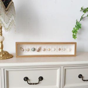 Hollow Shell Specimen 3Cm Creative Multi-grid Picture Frame Wall Hanging Rectangle Density Board Modern Simple Style