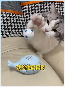 Pet Toys Whale Cat Teasing Toy Electric Cat Toy Rechargeable Toys Pet Supplies levitated sphere 宠物猫玩具
