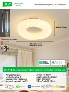 DGY | Modern Simple Cozy Ceiling Light