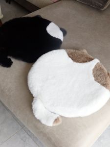 หนาขึ้น เบาะรองนั่งรูปแมวตุ๊กตา นุ่ม การ์ตูน เสื่อสัตว์เลี้ยงสไตล์กันลื่น สีดำ แผ่นรองเก้าอี้ตกแต่งบ้านสีสันสดใส / เบาะโซฟา