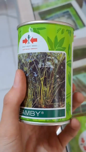 BENIH BAMBY SELEDRI KALENG CAP PANAH MERAH