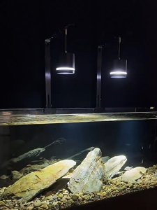 16W 3 color changing Professional LED Aquarium Spotlight Full Spectrum Dimmable Hanging Stand