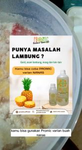 Starter / Biang Probiotik Microbs / Promic Jambu Kristal & Buah Naga / Minuman Probiotik 1000 Ml