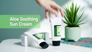 COSRX Aloe Soothing Sun Cream SPF50 PA+++ 50ml Sunscreen  Skin Care