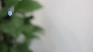 【Seasonal Sale】 FAY Jar Transparent Bottle Glass Vase Terrarium Glass cloche