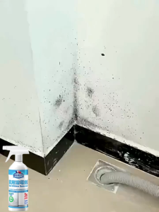 Wall mildew remover mildew and mold cleaner spray | dissolves quickly in one minute | wall white wall mildew prevention spray | no need to scrub | mildew and mold cleaner