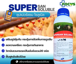 ซุปเปอร์แซน วิตามินรวมเข้มข้น