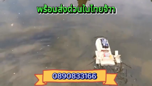 ในไทย ชุดของเล่นเรือไฟฟ้า DIY เสริมการเรียนรู้วิทยาศาสตร์สําหรับเด็ก ส่งด่วน (เรือไฟฟ้า)