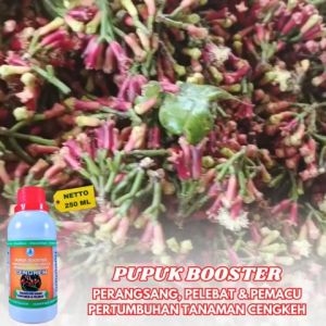 Pupuk Cengkeh Pupuk Booster Pelebat Cengkeh Pupuk Khusus Cengkeh Agar Berbuah Lebat Terbaik