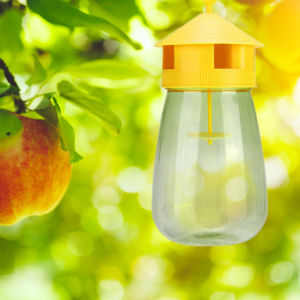 Fruit Fly Flies Insect Bug Hanging Honey-Trap Catcher Killer No-Poison Hanging Tree Killing Bee Trapper Wasp Trap