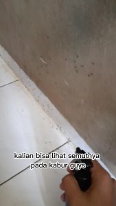 Pengusir Semut Spray Anti Semut Produk ORIGINAL DOTAL