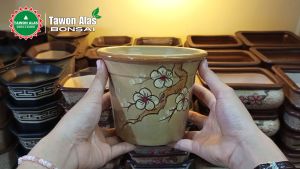 Pot Bonsai Keramik Bundar Tinggi Small Mini Mame