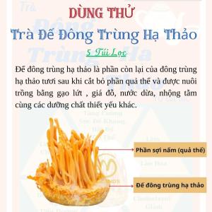 DÙNG THỬ Trà Đế Đông Trùng Hạ Thảo dưỡng nhan sắc bổ sung khí huyết tăng cường đề kháng - 5 túi lọc Tra Dong Y Viet
