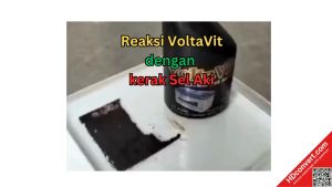 Memahami dan Mengoptimalkan Aki Motor & Mobil Voltavit