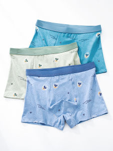 High School Student Men Underwear: Junior High School Purified Cotton Boxer Teenagers Young Boys Breathable Antibacterial Boys Boxers