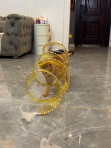 Cat Tunnel Cat Teaser Toy Kitten Cat Channel Bell Feather Mouse Bite-Resistant Kittens Self-Hi Relieving Stuffy Handy Gadget
