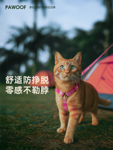 Cool Cat Harness Leash Outdoors Anti-Escape Puppy Walking Rope Workbench Shape Small Cat Special Cat Rope Anti-Lost Rope