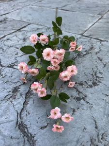 New Arrival Soft Peach Wedding Simulation Flower Champagne Pink Flesh Pink Hydrangea Rose Wedding Road Lead Flower Arrangement and Fake Flower Flowers