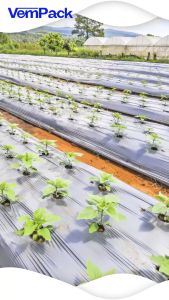 Plastik Mulsa Cincin Silver Hitam | Plastik Pertanian Perkebunan Hortikultur | Tahan Hingga 6-9 Bulan