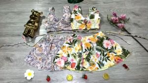 Bikini Bộ Bơi Nữ Hai Mảnh Quần Váy Aó Bra Mút Nâng Ngực Freesize Bin Sports BHV173