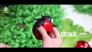 Điều Khiển Từ Xa Mới Lạ Ong Ruồi Côn Trùng Mô Phỏng Sáng Tạo Bọ Rùa Tricky Trẻ Em Điện Đồ Chơi Mô Hình Xuyên Biên Giới