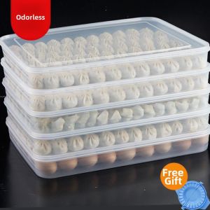 TEKANAI | Dumpling Storage Box