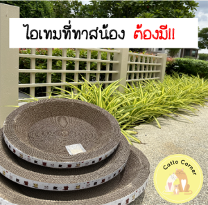 ที่ฝนเล็บทรงกลม ที่ลับเล็บแมว ทั้งคลายเครียด และป้องกันน้องขีดข่วนเฟอร์นิเจอร์ภายในบ้าน 🐱 cat scratcher